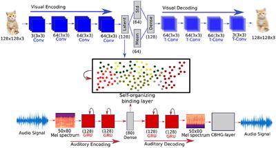 Expectation Learning for Stimulus Prediction Across Modalities Improves Unisensory Classification